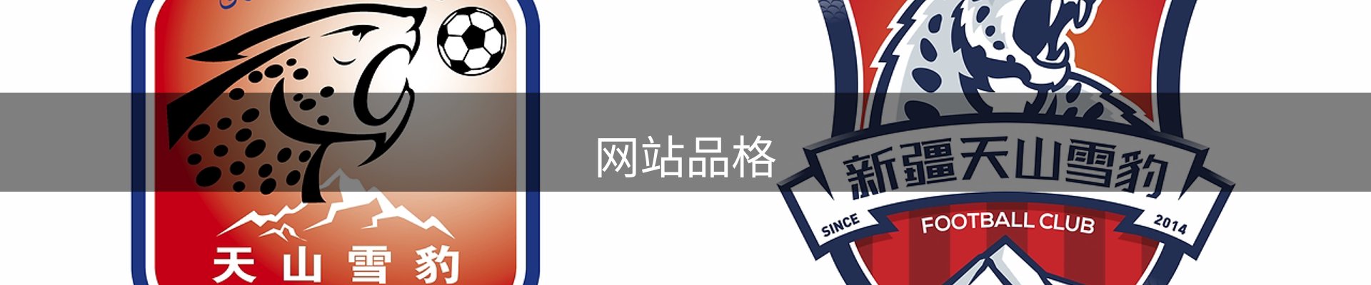 网站品格
